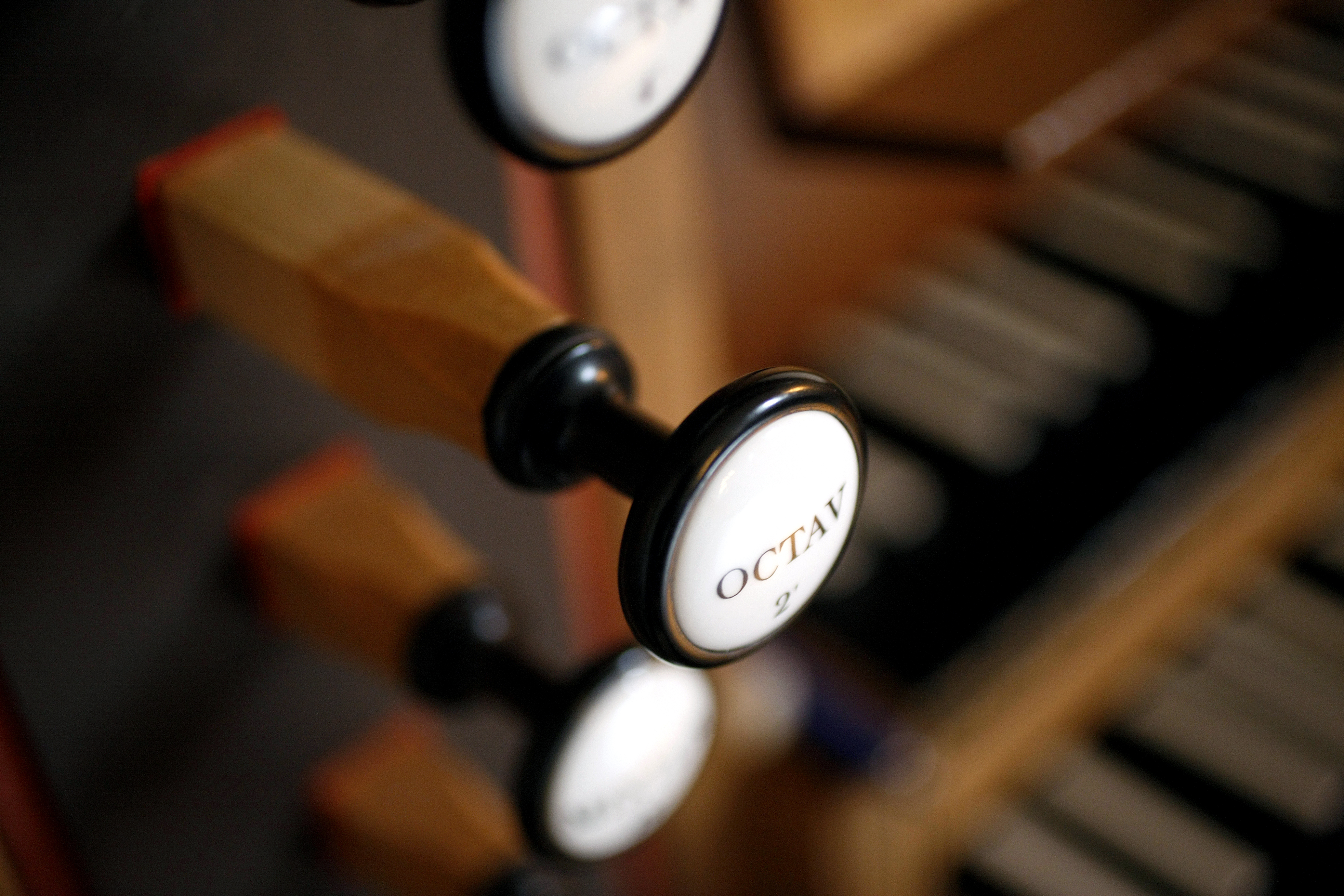 Orgel